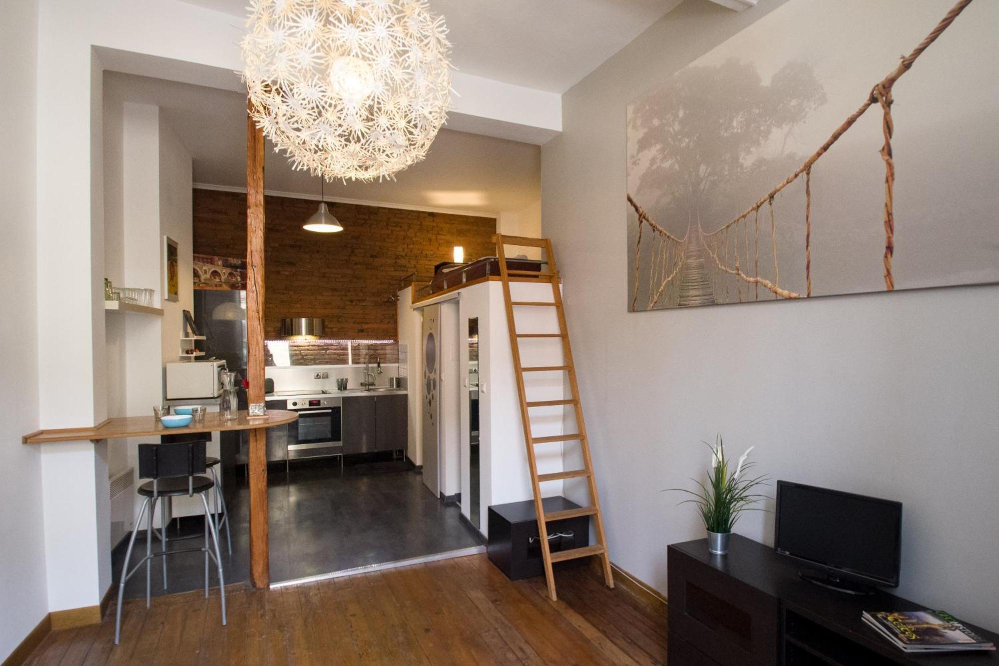 L'Olivier Apartment ตูลูส ภายนอก รูปภาพ